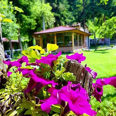 Apartment Wonder Place Visoko